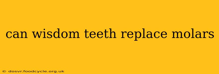 can wisdom teeth replace molars