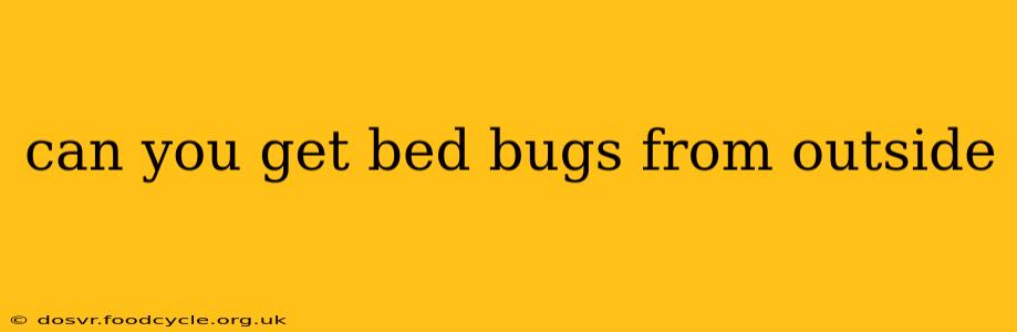 can you get bed bugs from outside