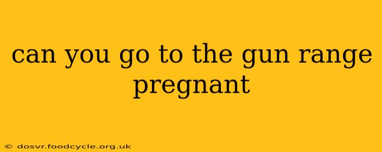 can you go to the gun range pregnant