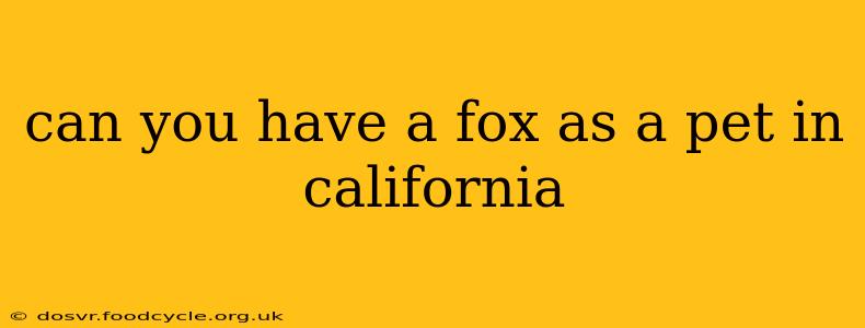 can you have a fox as a pet in california