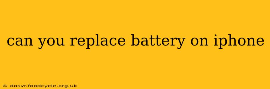 can you replace battery on iphone