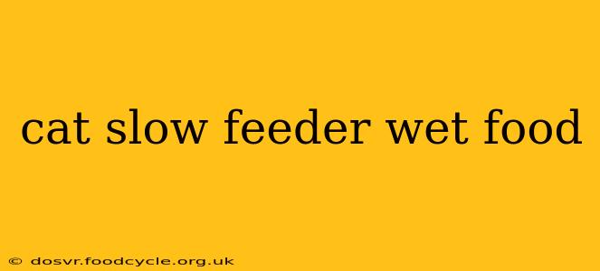 cat slow feeder wet food