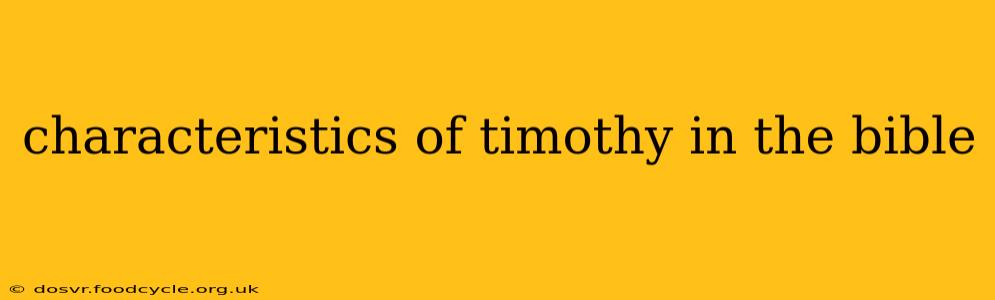 characteristics of timothy in the bible