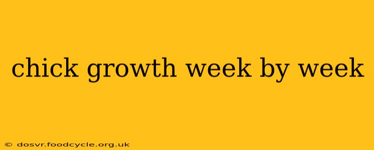 chick growth week by week