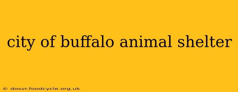 city of buffalo animal shelter