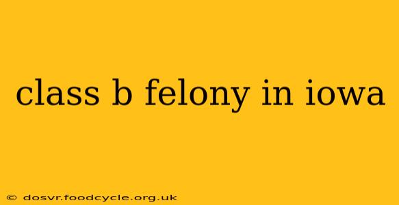class b felony in iowa