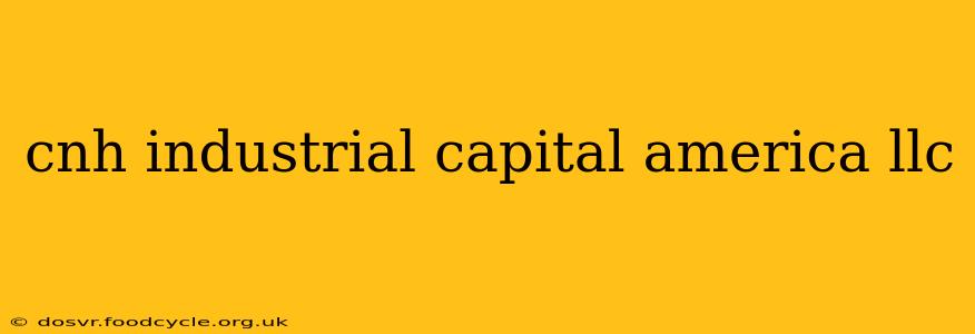 cnh industrial capital america llc