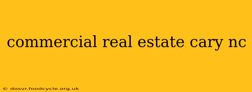 commercial real estate cary nc