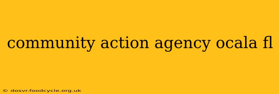 community action agency ocala fl