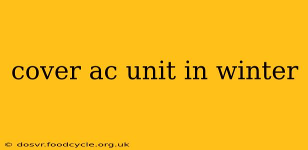 cover ac unit in winter