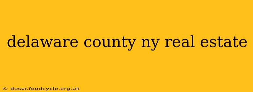 delaware county ny real estate