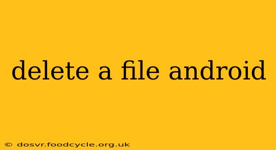 delete a file android