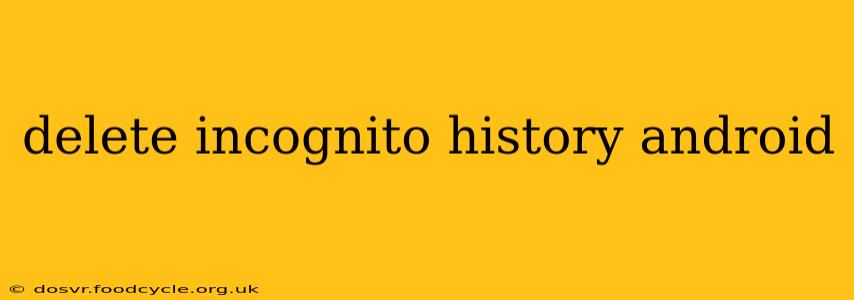 delete incognito history android