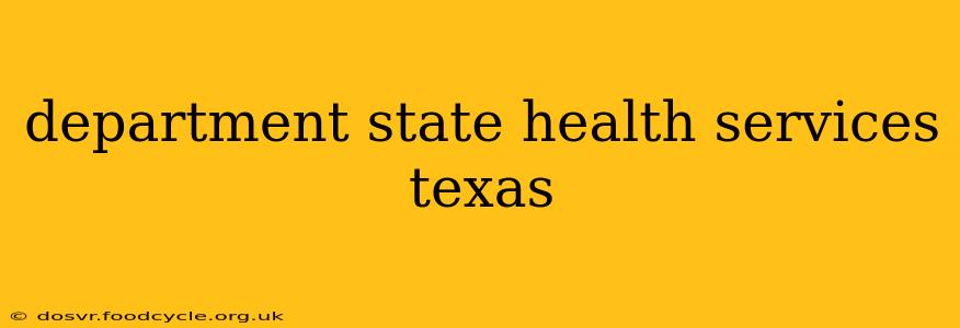 department state health services texas