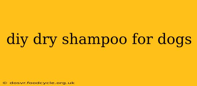 diy dry shampoo for dogs