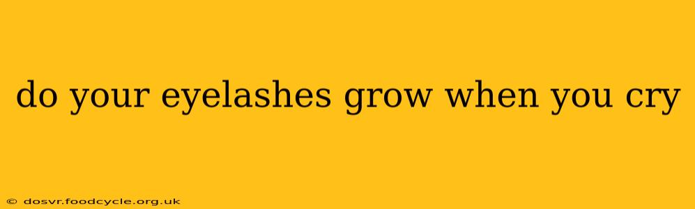 do your eyelashes grow when you cry
