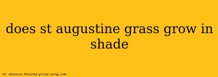 does st augustine grass grow in shade