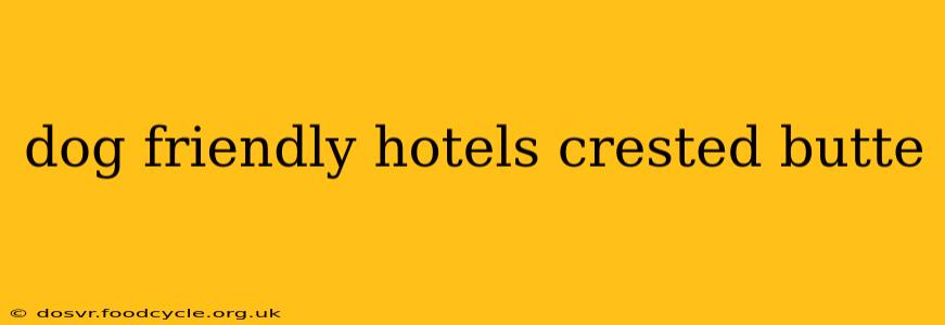 dog friendly hotels crested butte