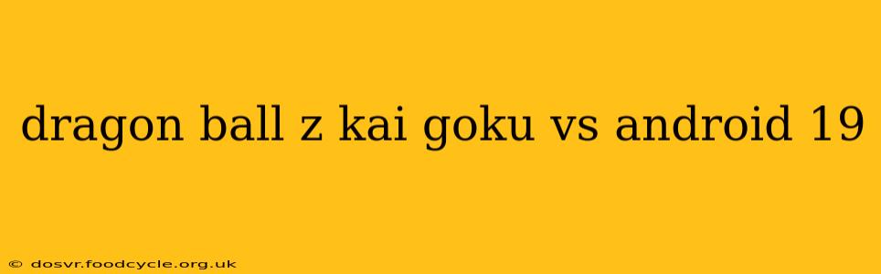 dragon ball z kai goku vs android 19