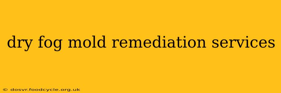 dry fog mold remediation services