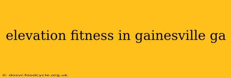 elevation fitness in gainesville ga
