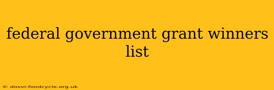 federal government grant winners list