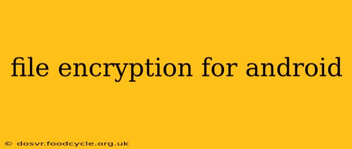 file encryption for android