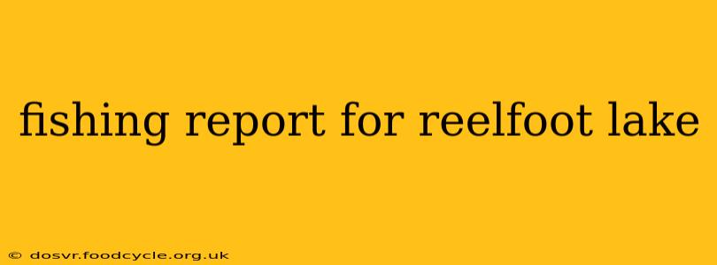 fishing report for reelfoot lake