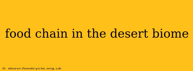 food chain in the desert biome