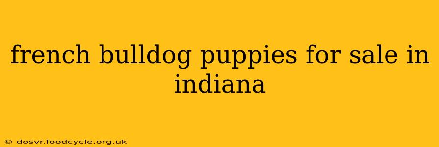 french bulldog puppies for sale in indiana