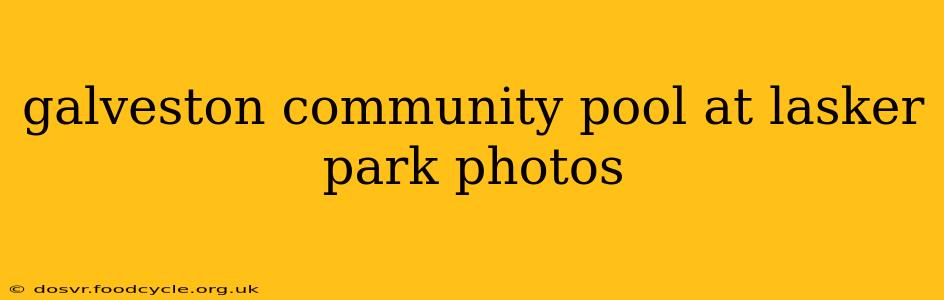 galveston community pool at lasker park photos