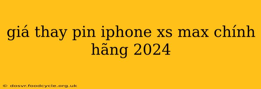 giá thay pin iphone xs max chính hãng 2024