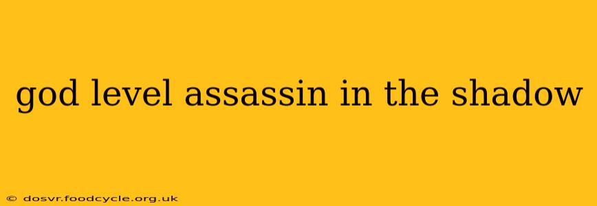 god level assassin in the shadow
