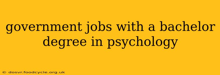 government jobs with a bachelor degree in psychology