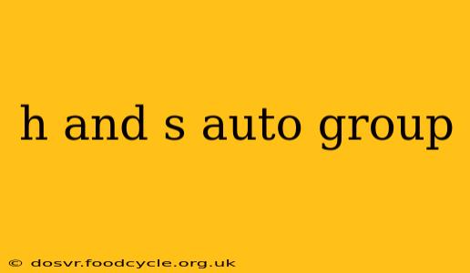 h and s auto group