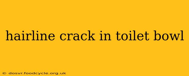 hairline crack in toilet bowl