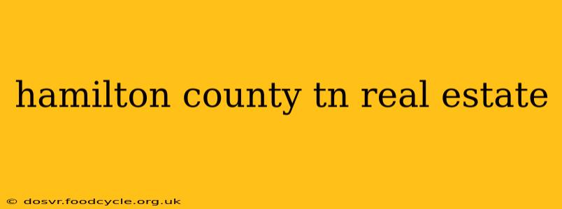 hamilton county tn real estate