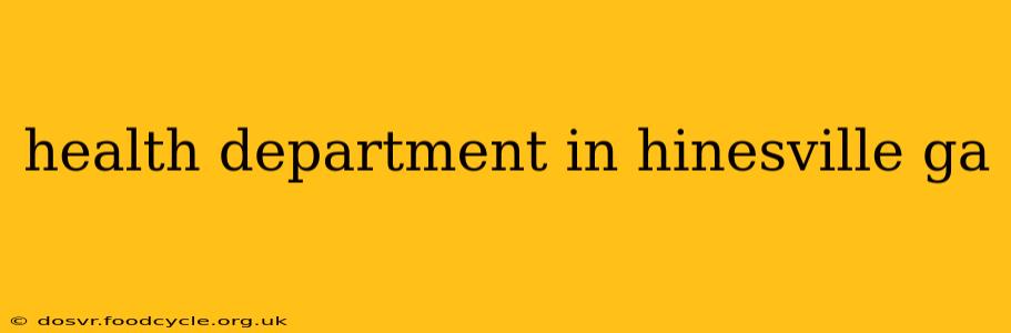 health department in hinesville ga