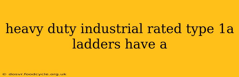 heavy duty industrial rated type 1a ladders have a