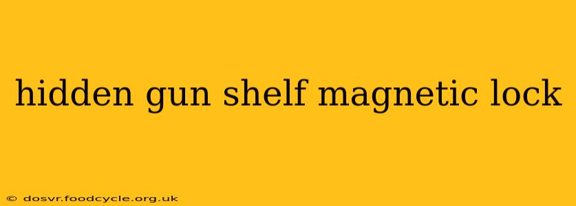 hidden gun shelf magnetic lock