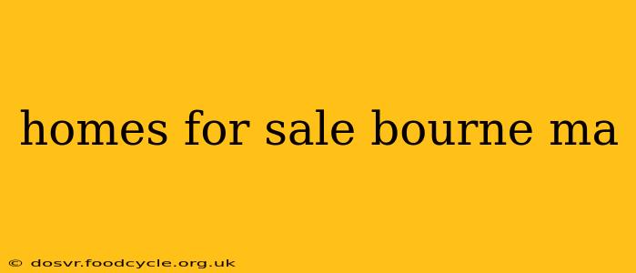 homes for sale bourne ma