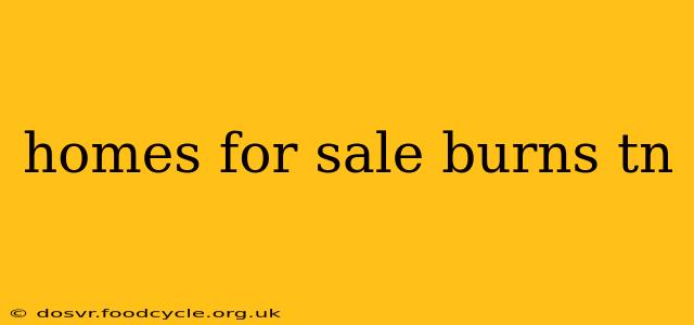 homes for sale burns tn