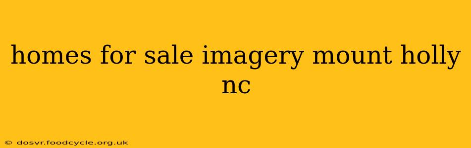 homes for sale imagery mount holly nc
