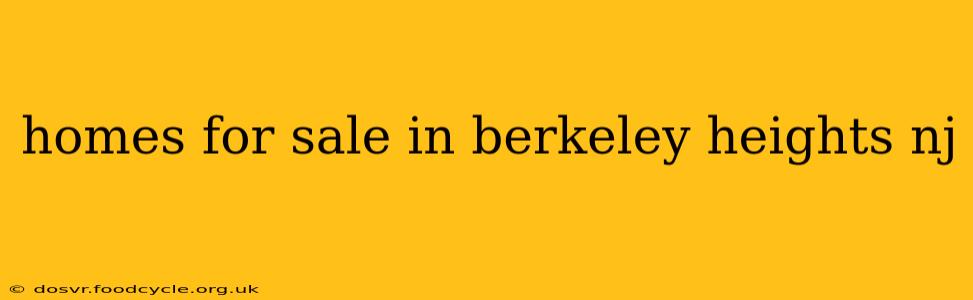 homes for sale in berkeley heights nj