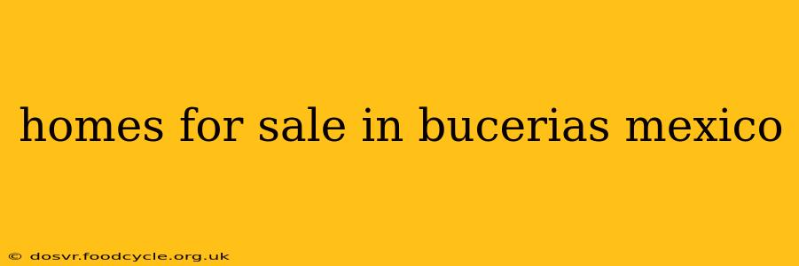 homes for sale in bucerias mexico