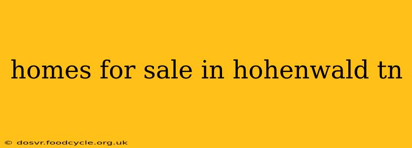 homes for sale in hohenwald tn