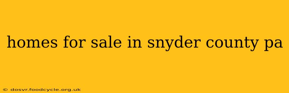 homes for sale in snyder county pa