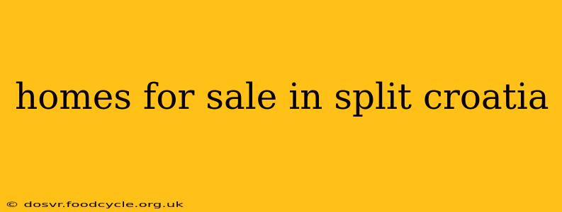 homes for sale in split croatia