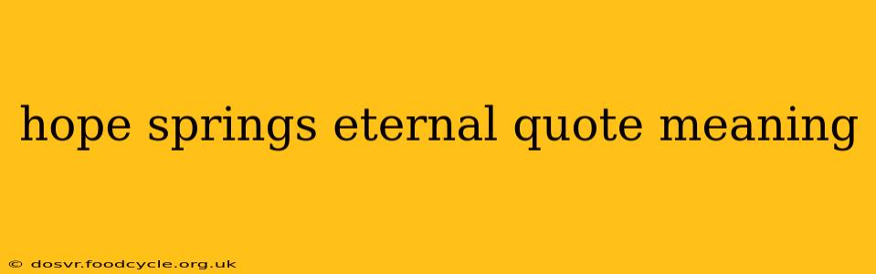 hope springs eternal quote meaning