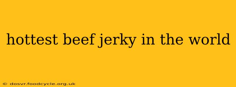 hottest beef jerky in the world